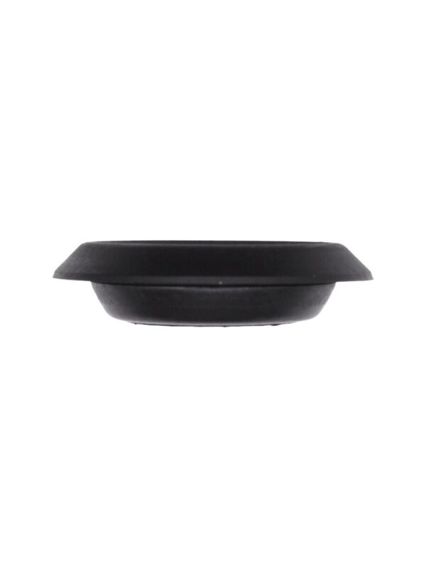 Trunk and Body Plug (Polyethylene, Depressed Top) 1" Hole Size, Each